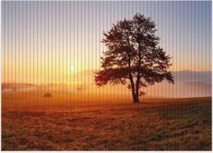 Wallario Schaum-Badematte Sonnenaufgang über der Wiese mit Nebel, Höhe 5.5 mm, rutschhemmend, geeignet für Fußbodenheizungen, Polymer-Schaum, rechteckig