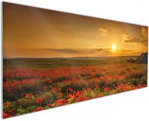 Wallario Küchenrückwand Mohnblumenwiese bei Sonnenuntergang am Abend, (1-tlg)