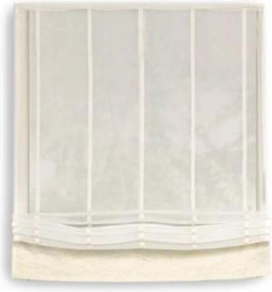 Clever-Kauf-24 Raffrollo Raffrollo aus Halborganza champagner, BxH 60x140cm