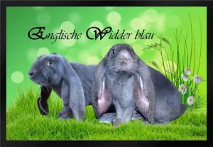 Ladreas Fußmatte Schmutzfangmatte Kaninchen Engl. Widder blau F926, 60x40