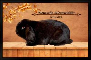 Ladreas Fußmatte Schmutzfangmatte Kaninchen Kleinwidder schwarz F893, 60x40