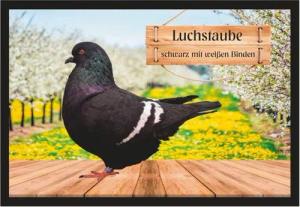Ladreas Fußmatte Schmutzfangmatte Tauben Luchstaube schwarz m.w.B. F2557, 60x40