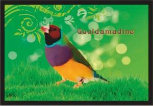 Ladreas Fußmatte Schmutzfangmatte Ziergeflügel Gouldamadine F2380, 60x40