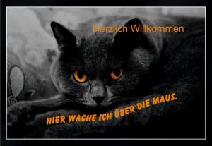 Ladreas Fußmatte Schmutzfangmatte Willkommen wach ich über die Maus F1085, 60x40