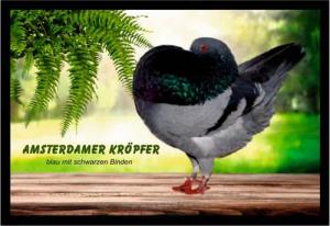 Ladreas Fußmatte Schmutzfangmatte Tauben Amsterdamer Kröpfer blau m.s.B. F2008, 60x40