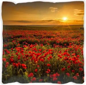 Wallario Dekokissen Mohnblumenwiese bei Sonnenuntergang am Abend, handgenäht