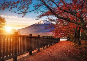 Trefl GmbH Puzzle Berg Fuji, Japan, Puzzleteile