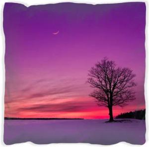 Wallario Dekokissen Mond und Baum am Abend bei Schnee, handgenäht