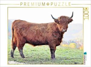 CALVENDO Puzzle CALVENDO Puzzle Highland Cattle, die Hochlandrinder aus Pfeffingen 1000 Teile Lege-Größe 64 x 48 cm Foto-Puzzle Bild von Günther Geiger, 1000 Puzzleteile