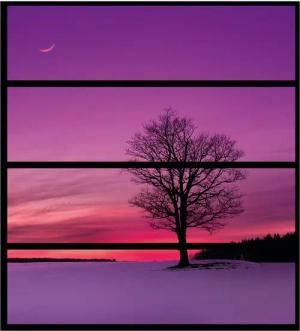 Wallario Möbelfolie Mond und Baum am Abend bei Schnee