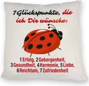 speecheese Dekokissen Marienkäfer Kissen mit Spruch Sieben Glückspunkte
