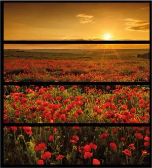 Wallario Möbelfolie Mohnblumenwiese bei Sonnenuntergang am Abend