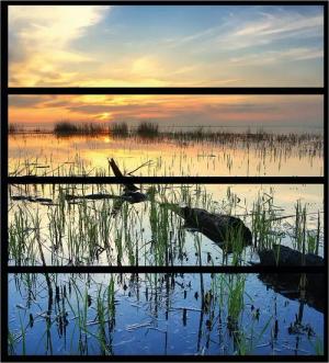 Wallario Möbelfolie Schilf am Abend - Sonnenuntergang über der Seelandschaft