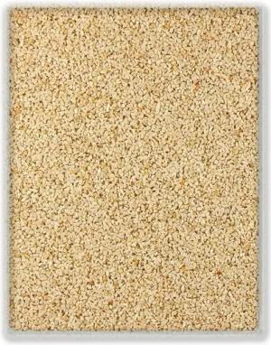 Terralith® Designboden Farbmuster Kompaktboden -crema-, Farbmuster aus Originalware