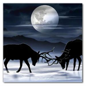 Wallario Möbelfolie Elch im Schnee bei Mondschein - Silhouette am Abend