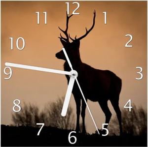 Wallario Wanduhr Rothirsch am Abend (Glasuhr)