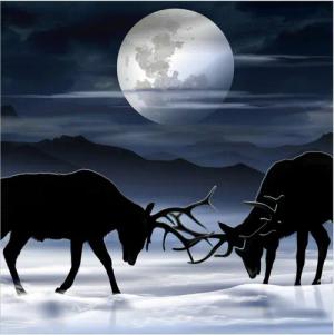 Wallario Möbelfolie Elch im Schnee bei Mondschein - Silhouette am Abend