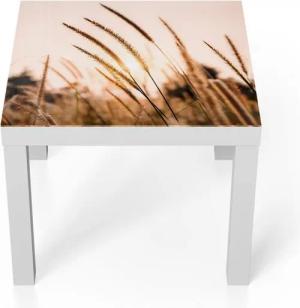 DEQORI Couchtisch 'Goldenes Abendgras', Glas Beistelltisch Glastisch modern