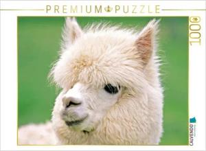 CALVENDO Puzzle CALVENDO Puzzle Alpaka: Flauschig und weich - Wieso macht mit mir eigentlich keiner Werbung? 1000 Teile Lege-Größe 64 x 48 cm Foto-Puzzle Bild von CALVENDO Verlag, 1000 Puzzleteile