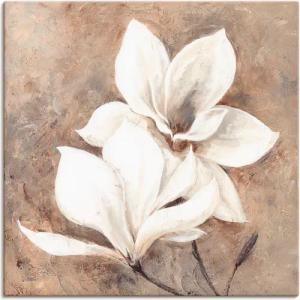 Artland Wandbild "Klassische Magnolien", Blumen, (1 St.), als Alubild, Outdoorbild, Leinwandbild, Poster, Wandaufkleber