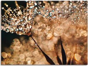 Artland Wandbild "Pusteblume Goldschimmer", Blumen, (1 St.), als Alubild, Outdoorbild, Leinwandbild, Poster, Wandaufkleber
