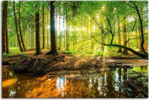 Artland Wandbild "Wald mit Bach", Wald, (1 St.), als Alubild, Outdoorbild, Leinwandbild, Poster, Wandaufkleber