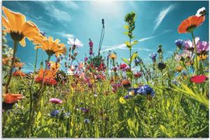 Artland Wandbild "Buntes Blumenfeld", Blumenwiese, (1 St.), als Alubild, Outdoorbild, Leinwandbild, Poster, Wandaufkleber