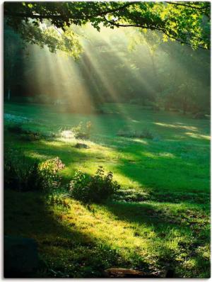 Artland Wandbild "Lichtkegel", Wald, (1 St.), als Alubild, Outdoorbild, Leinwandbild, Poster, Wandaufkleber
