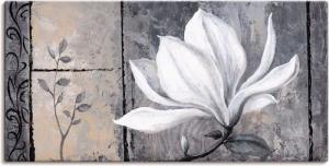 Artland Wandbild "Klassische Magnolie", Blumen, (1 St.), als Alubild, Outdoorbild, Leinwandbild, Poster, Wandaufkleber
