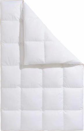 Frau Holle Daunenbettdecke "Zara, Bettdecken für Sommer oder Winter, hergestellt in Deutschland", extrawarm, Füllung 100% Daunen, Bezug 100% Baumwolle, (1 St.), Bettdecke in 135x200 cm, 155x220 cm und weiteren Größen