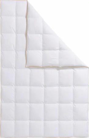 Frau Holle Daunenbettdecke "Zara, Bettdecken für Sommer oder Winter, hergestellt in Deutschland", normal, Füllung 100% Daunen, Bezug 100% Baumwolle, (1 St.), Bettdecke in 135x200 cm, 155x220 cm und weiteren Größen