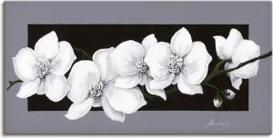Artland Wandbild "Weiße Orchideen auf grau", Blumen, (1 St.), als Alubild, Outdoorbild, Leinwandbild, Poster, Wandaufkleber