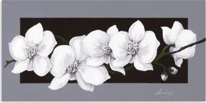 Artland Wandbild "Weiße Orchideen auf grau", Blumen, (1 St.), als Alubild, Outdoorbild, Leinwandbild, Poster, Wandaufkleber