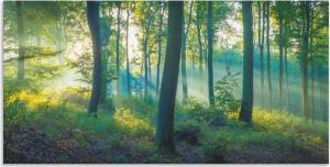 Artland Wandbild "Wald Panorama", Waldbilder, (1 St.), als Alubild, Outdoorbild, Leinwandbild, Poster, Wandaufkleber