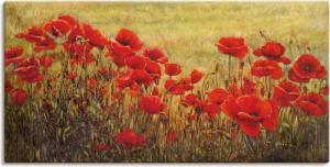 Artland Wandbild "Mohnfeld", Blumenwiese, (1 St.), als Alubild, Outdoorbild, Leinwandbild in verschied. Größen
