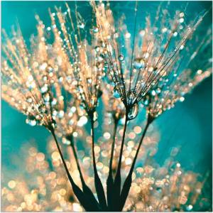 Artland Wandbild "Pusteblume Schirmchen abstrakt", Blumen, (1 St.), als Alubild, Outdoorbild, Leinwandbild, Poster, Wandaufkleber