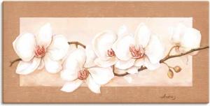 Artland Wandbild "Orchideenzweig", Blumenbilder, (1 St.), als Alubild, Outdoorbild, Leinwandbild in verschied. Größen
