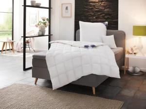 SPESSARTTRAUM Daunenbettdecke + 3-Kammer-Kopfkissen "Exklusiv, 2-tlg, hergestellt in Deutschland, made in Germany, Set", (Spar-Set, Decke mit Kissen), Sparset: 5 Wärmeklassen, 135x200 cm & 155x220 cm