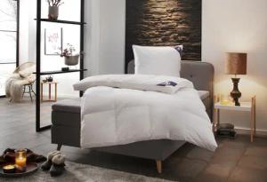 SPESSARTTRAUM Daunenbettdecke + 3-Kammer-Kopfkissen "Exklusiv, 2-tlg, hergestellt in Deutschland, made in Germany, Set", (Spar-Set, Decke mit Kissen), Sparset: 5 Wärmeklassen, 135x200 cm & 155x220 cm