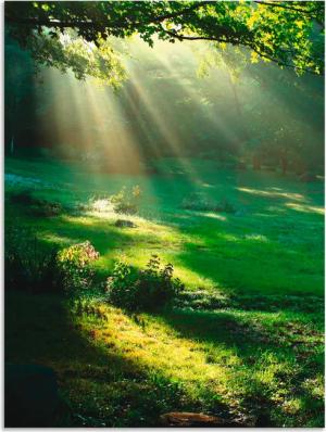 Artland Wandbild "Lichtkegel", Wald, (1 St.), als Alubild, Outdoorbild, Leinwandbild, Poster, Wandaufkleber