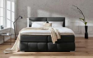 Guido Maria Kretschmer Home&Living Boxspringbett "Wehma", inkl. Topper in 3 verschiedenen Matratzen, auch in Samtstoff