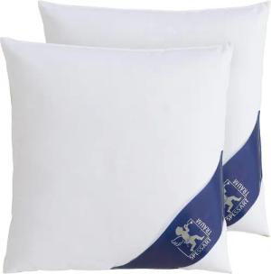 SPESSARTTRAUM Daunenkissen "FIRST CLASS", Füllung: 60% Daunen, 40%Federn, Bezug: 100% Baumwolle, (Spar-Set, 2 St., 2-tlg.), hergestellt in Deutschland, allergikerfreundlich, im Set günstiger