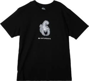Quiksilver T-Shirt "Snyc Graphic"