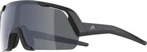 Alpina Kinder Rocket Youth Sportbrille
