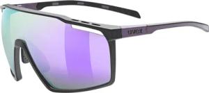 Uvex MTN Perform Sportbrille