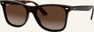 Ray-Ban Sonnenbrille RB4440N