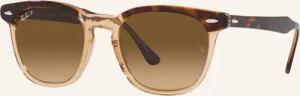 Ray-Ban Sonnenbrille RB2298