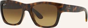 Ray-Ban Sonnenbrille RB4194