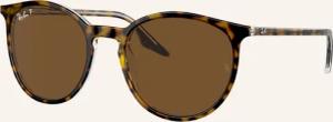 Ray-Ban Sonnenbrille RB2204