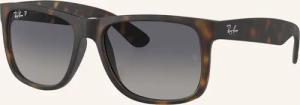 Ray-Ban Sonnenbrille RB4165